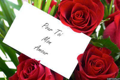Je t'aime