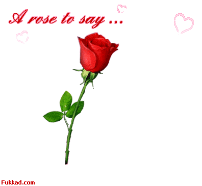 love you mon amour