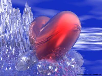 amour