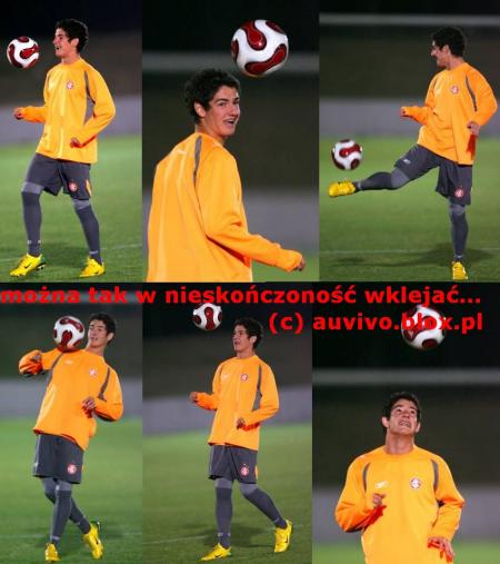 a.pato